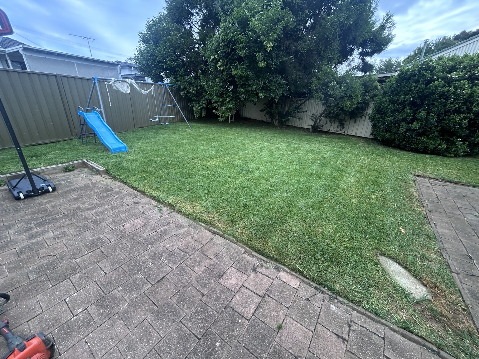 Freshly maintained backyard lawn