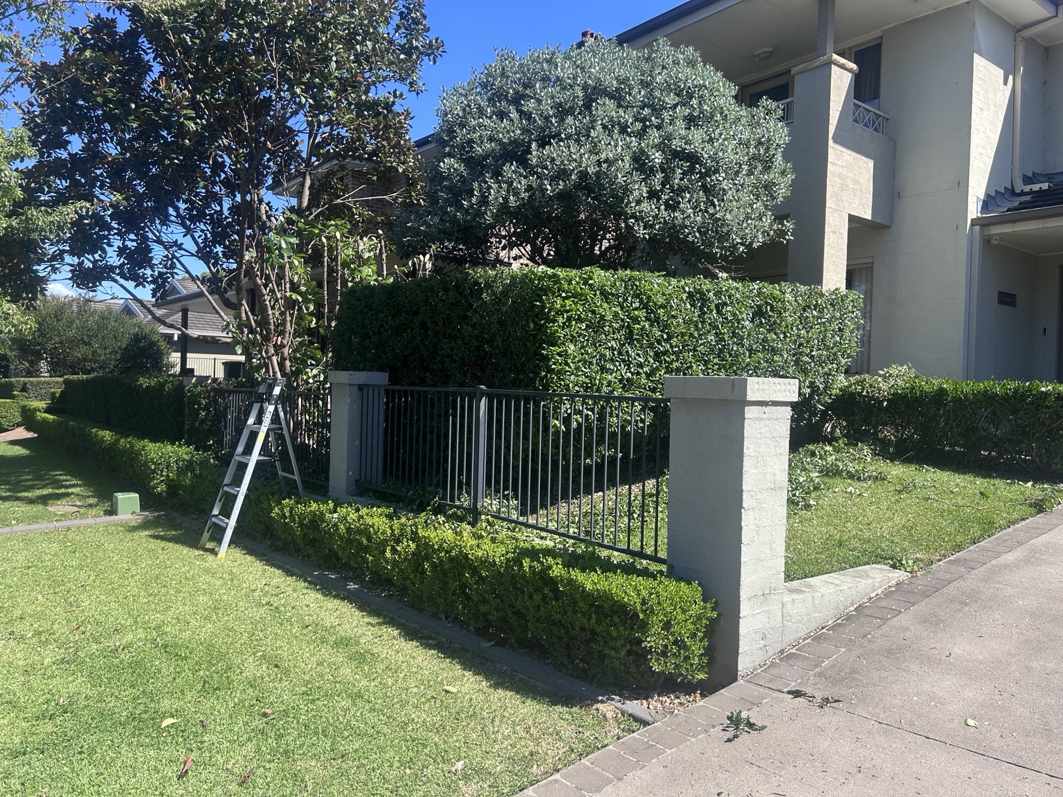 Hedge maintenance at a residential property